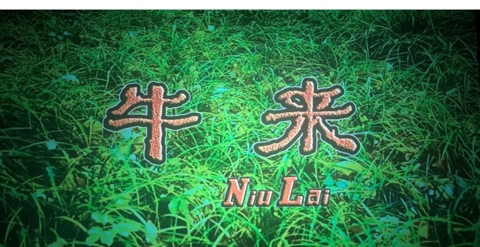 牛来二创配图