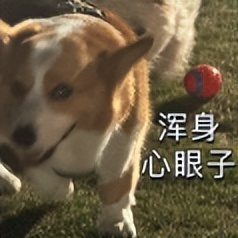 海信A10