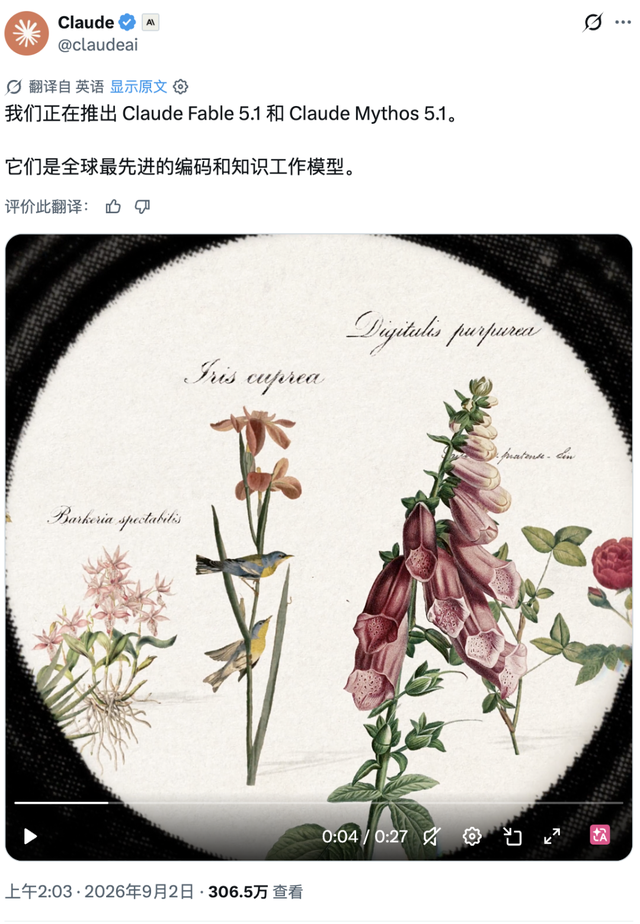 Fable 5.1发布