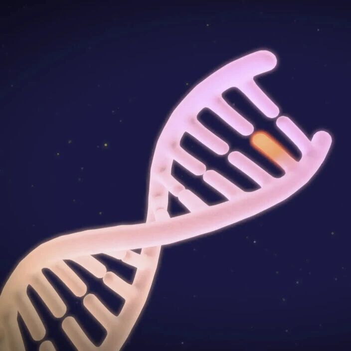 基因组数据