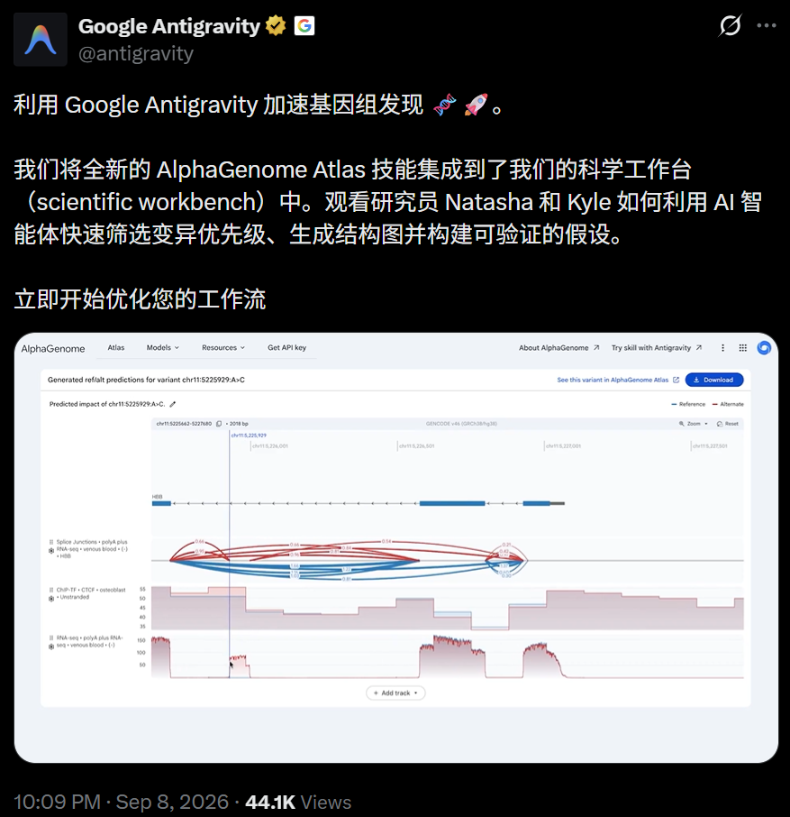 研究应用